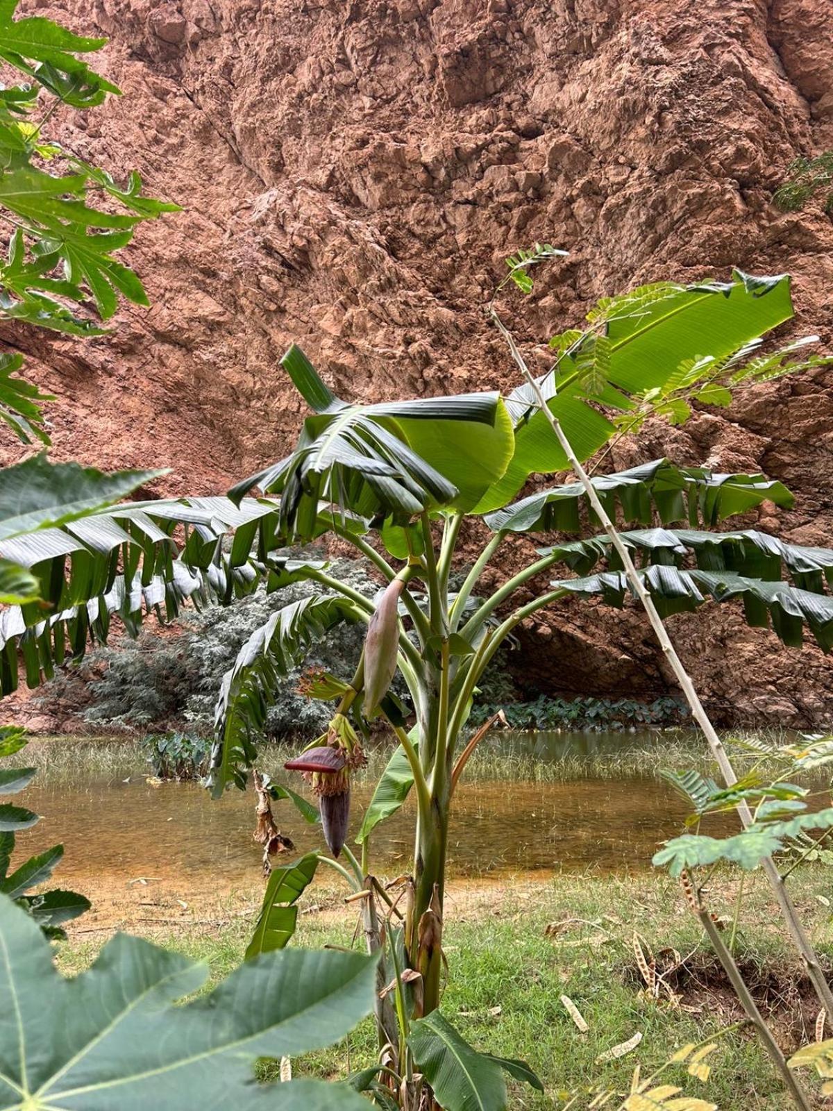 Atlas Wadi Shab Sur Exterior foto